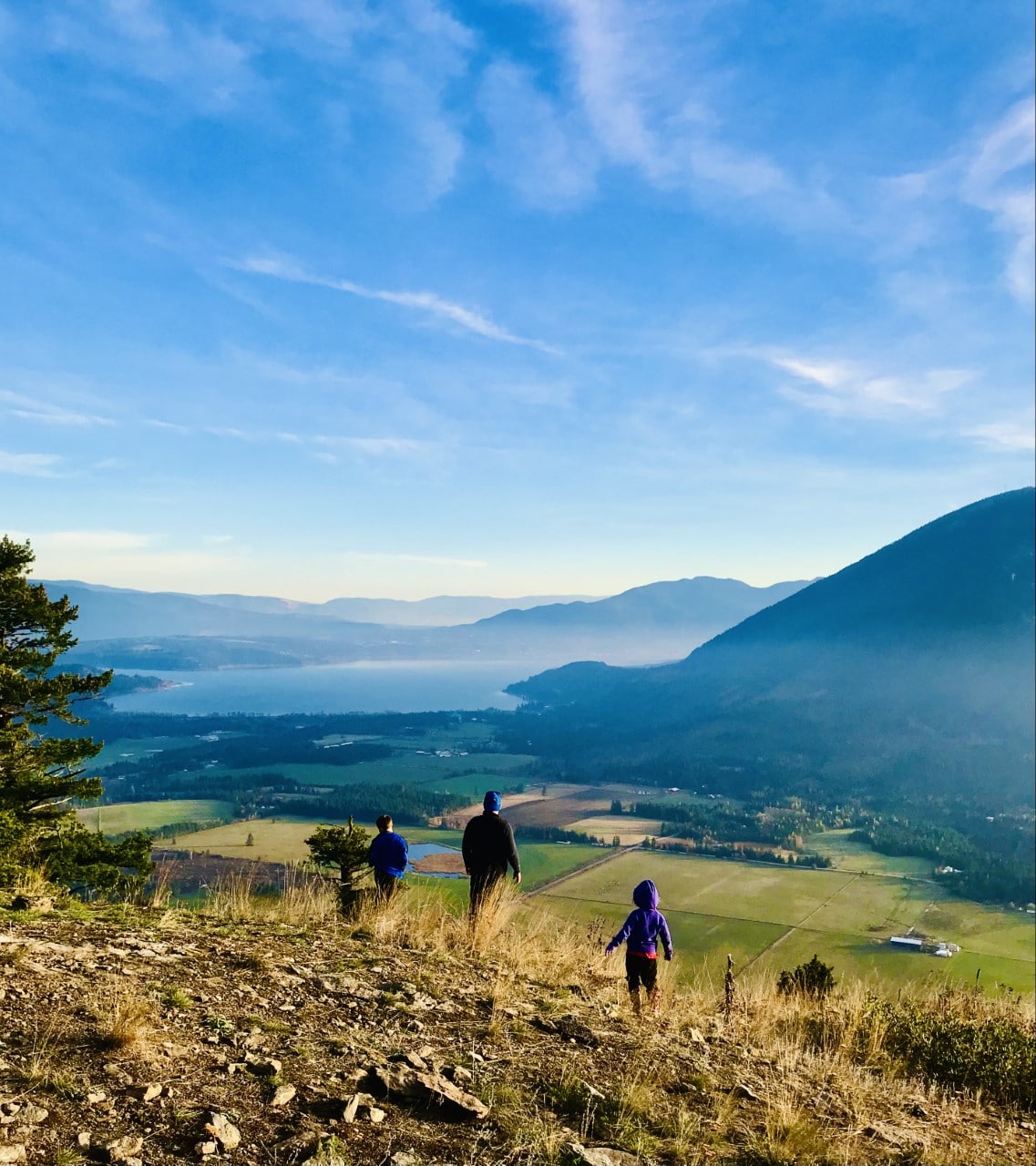 Image 2 Tappen Bluffs Trail looking out over Tappen Bay, Tappen Valley and Salmon Arm
